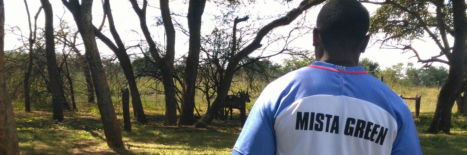 BillyGreenLombe's profile banner image