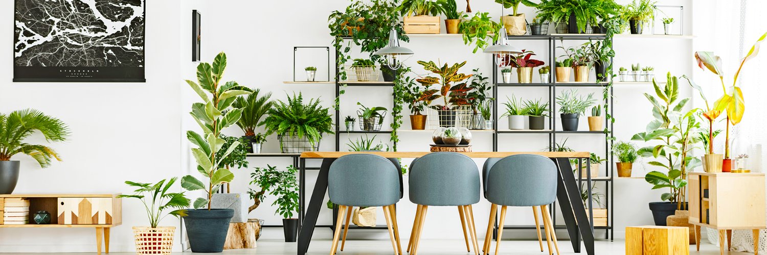 House_Mag's profile banner image
