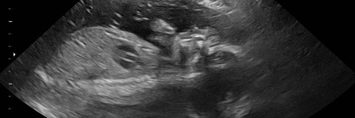 _12LJ29_'s profile banner image