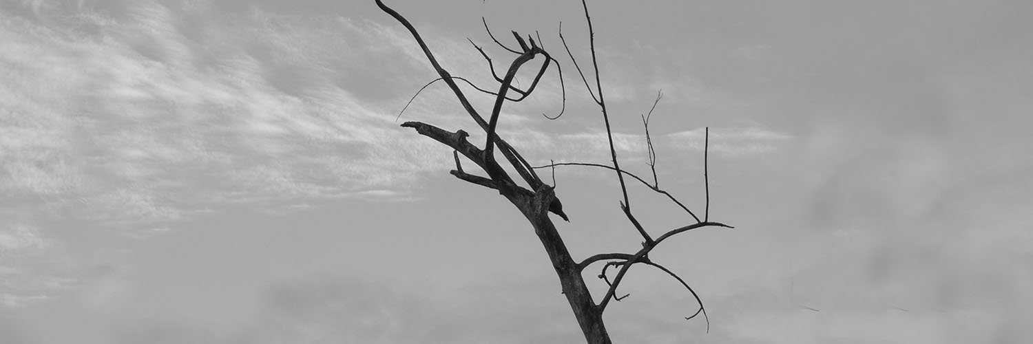 DavidCruFer's profile banner image
