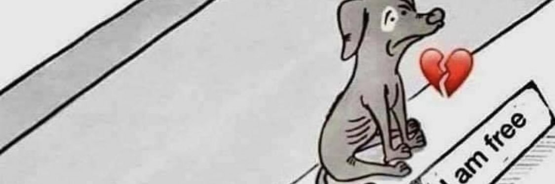 iamqueen666's profile banner image