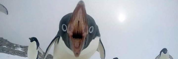 moaningnbitchin's profile banner image