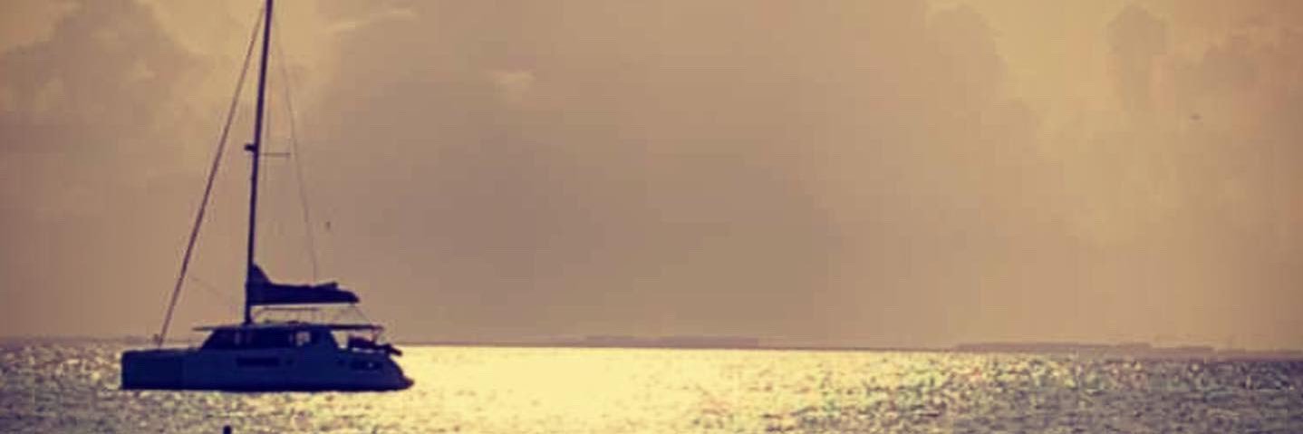 ashrya76's profile banner image