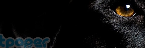 Barbara_VA's profile banner image