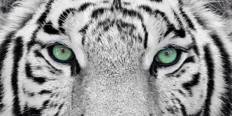 Pierresmodern's profile banner image