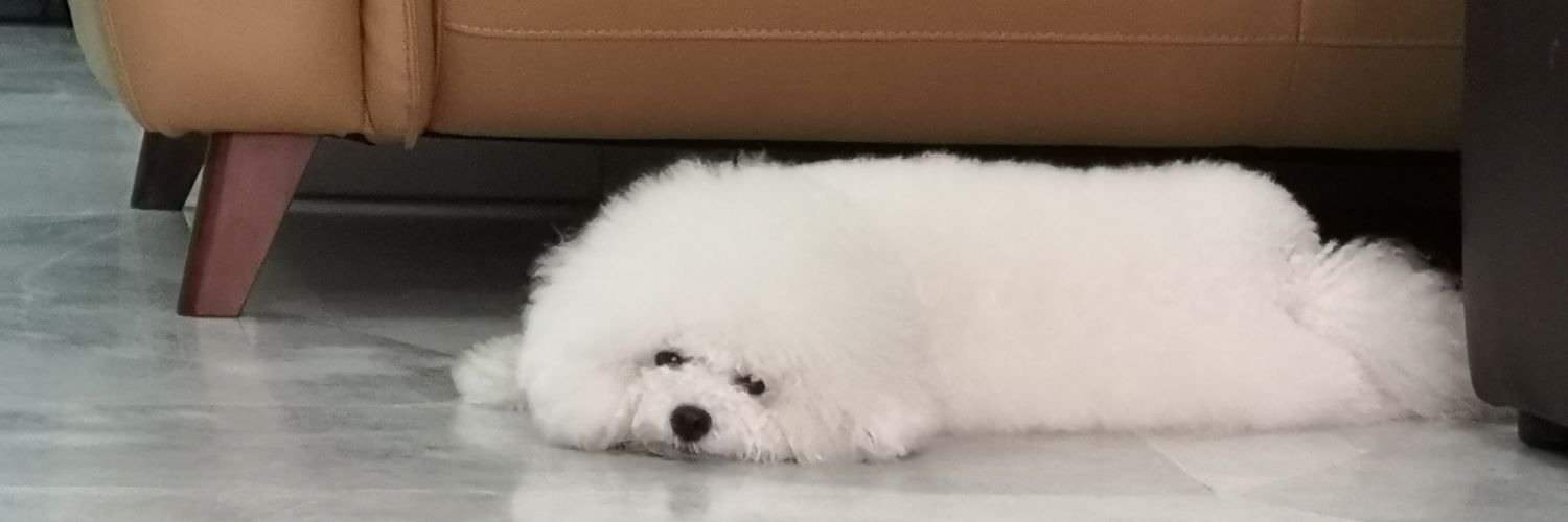 Abby banner