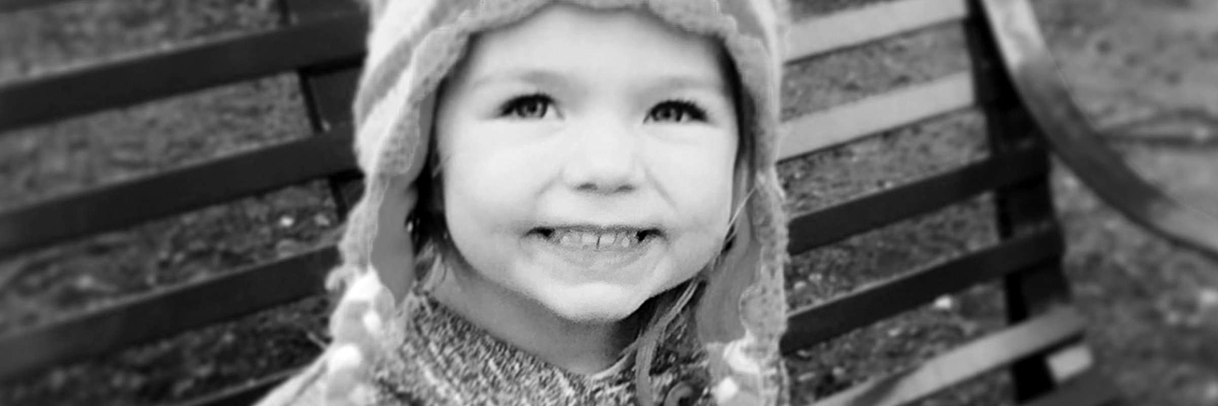 Lydia Fitzgerald banner