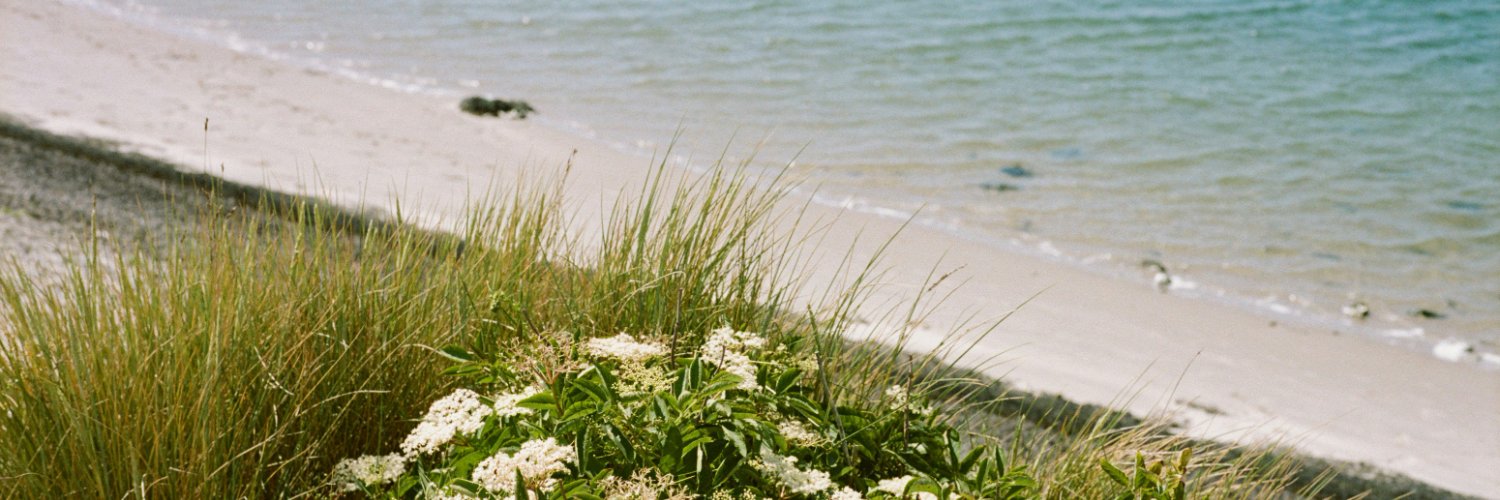 OverkoClaire's profile banner image