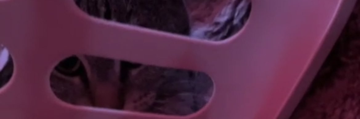ittsrubyy's profile banner image