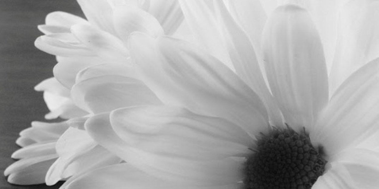 MTermorshuizen's profile banner image