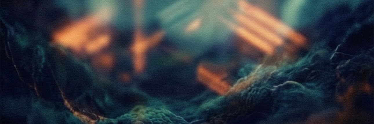 Dom Fernando banner