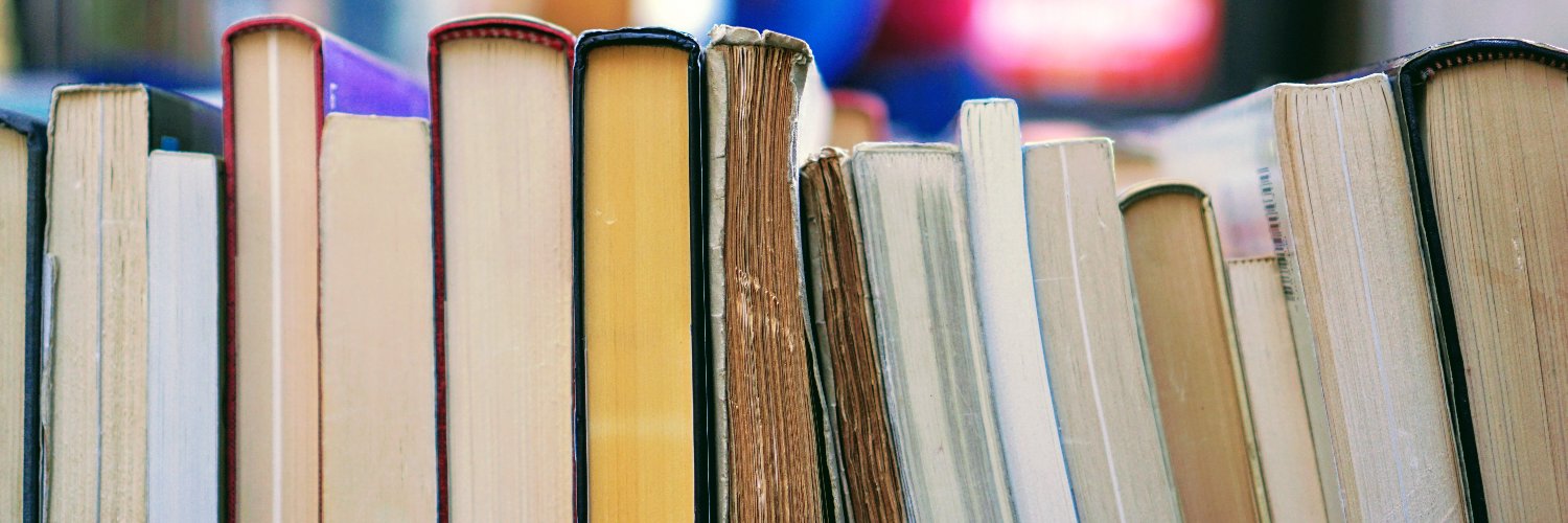 Dr Rebecca Ananian-Welsh banner