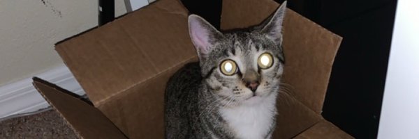 nguyen_CS Profile Banner