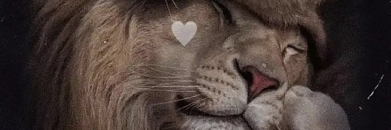 aleynaleventtt's profile banner image