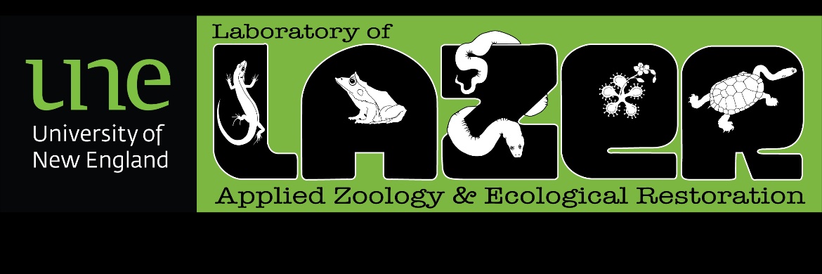 deborah bower 🐢 🌈 🐸 banner