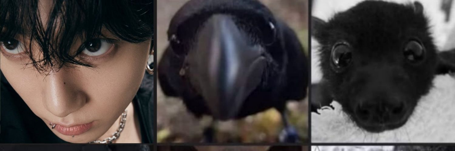 stevatwt's profile banner image