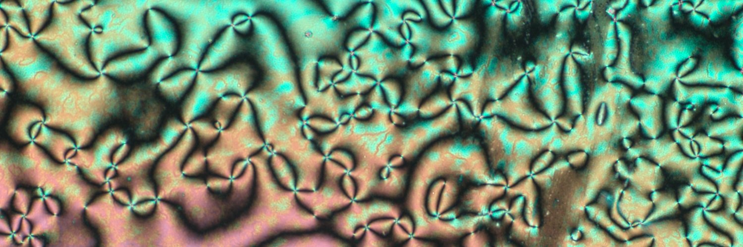 Hamed Shahsavan banner