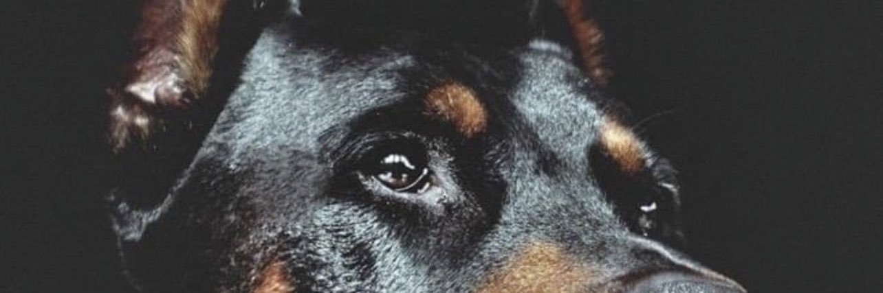 Ulliiises's profile banner image
