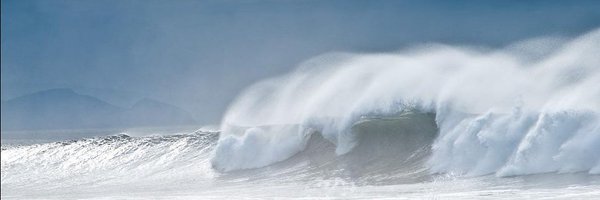 rotters Profile Banner