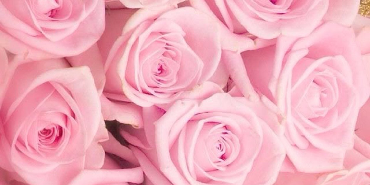 _xMMS's profile banner image