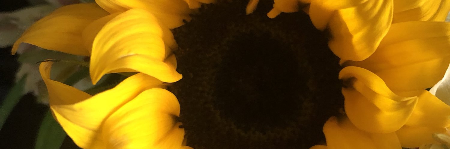 desdinkins's profile banner image