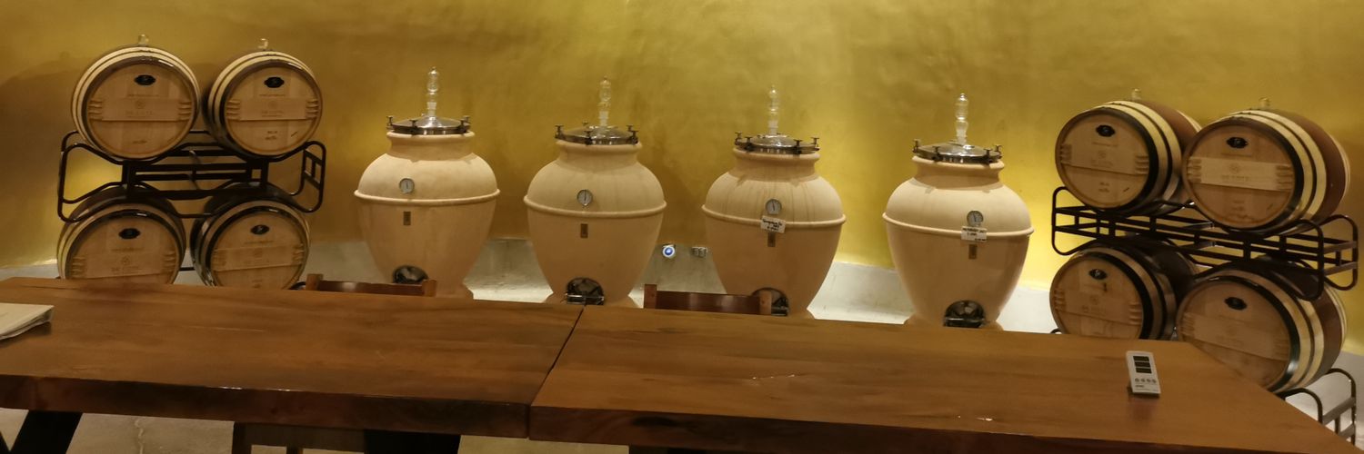 Antonio DiNatale 🇲🇽 banner