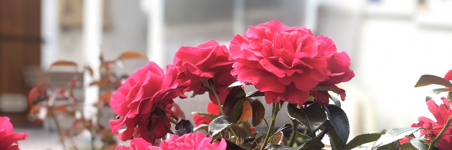 AxelGcd's profile banner image