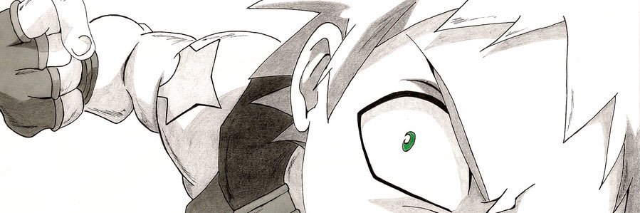 95established's profile banner image