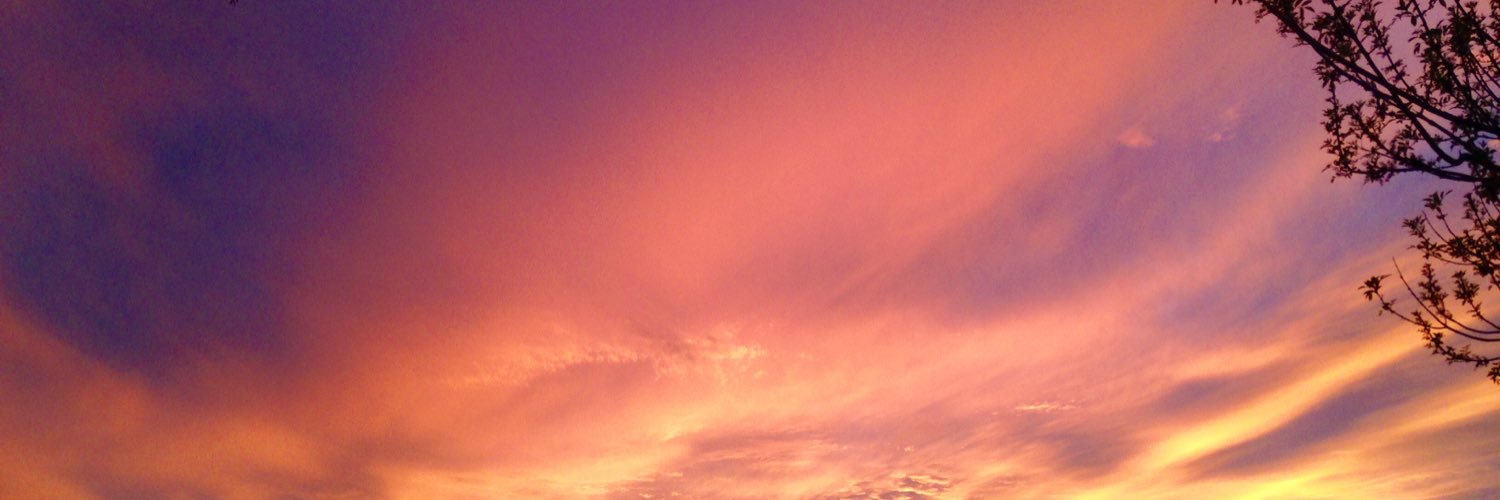 lauranicolichuk's profile banner image