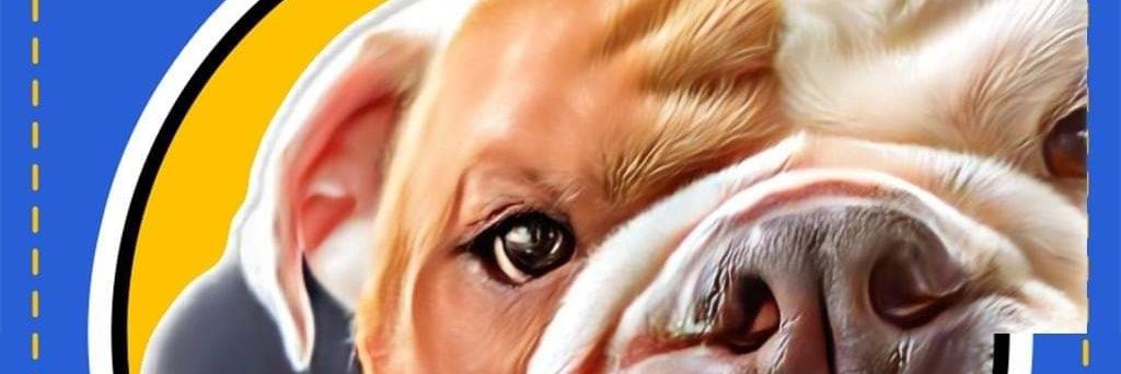 ninadavis's profile banner image