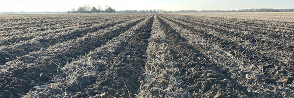 awatson823 Profile Banner