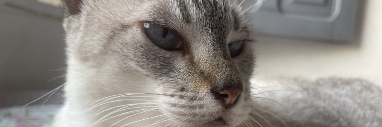 jenncgaetr's profile banner image