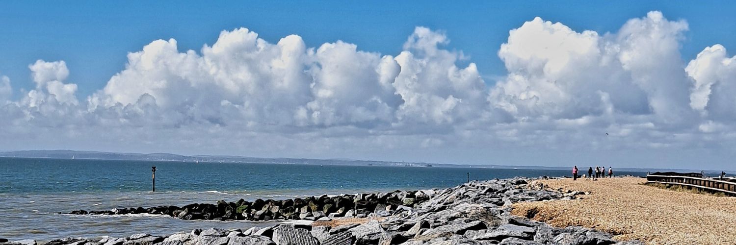 Be Tvvitter! Not X banner