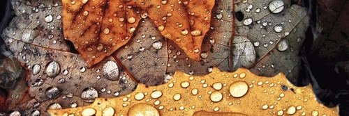 HannahYeakey's profile banner image