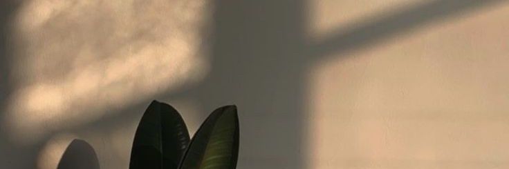 blckcf3's profile banner image