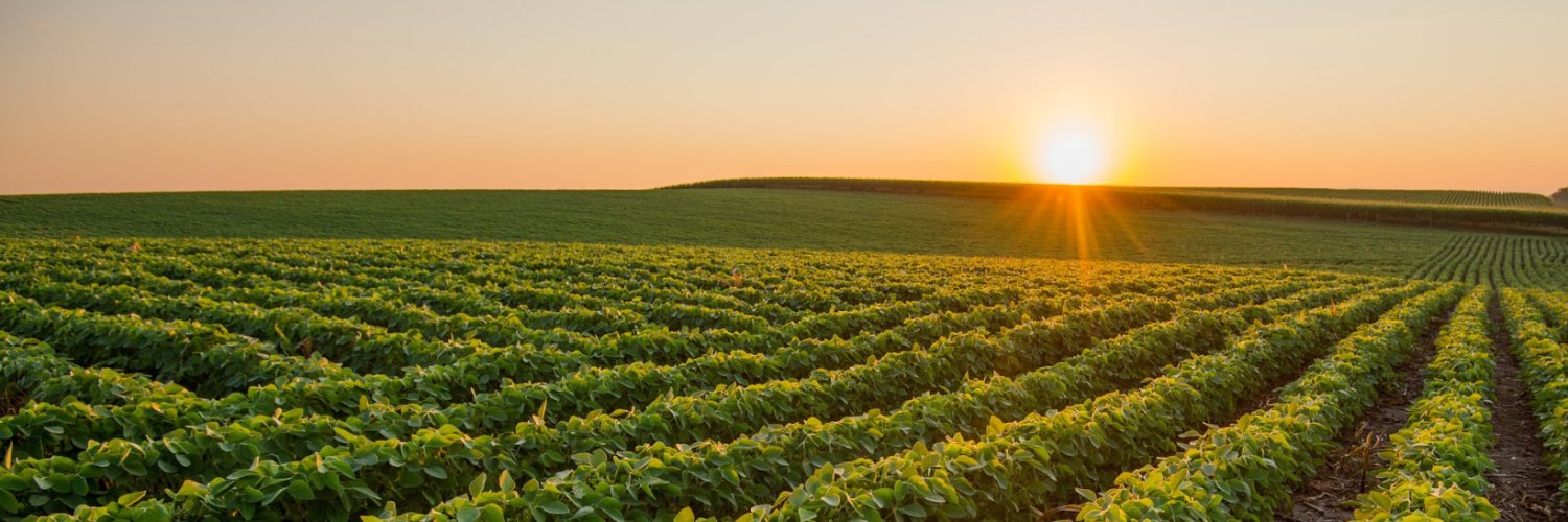 sdsoybean's profile banner image