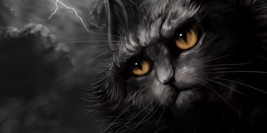 Fallenmoon_DF's profile banner image