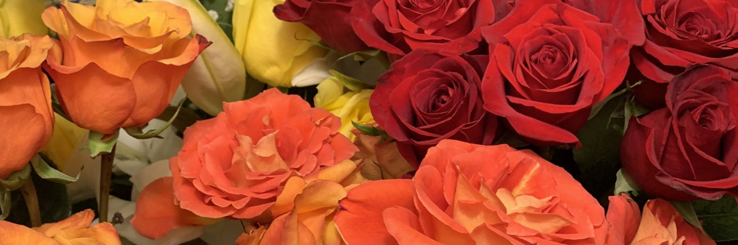 _lanna35's profile banner image