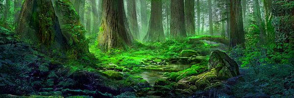 Rajni Profile Banner