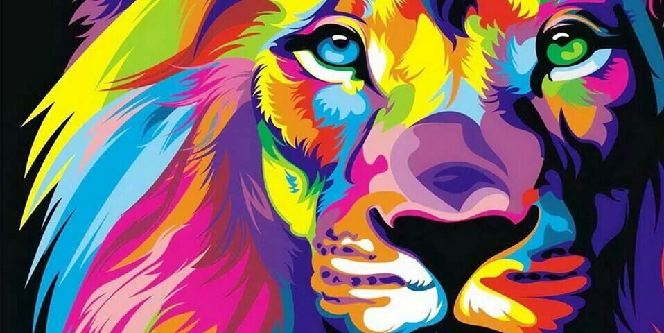 tami__who's profile banner image