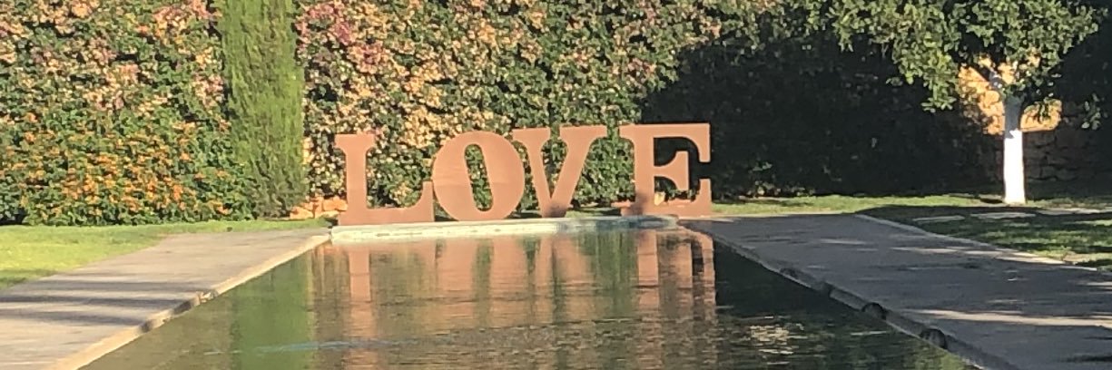 Dr Ailís Travers banner