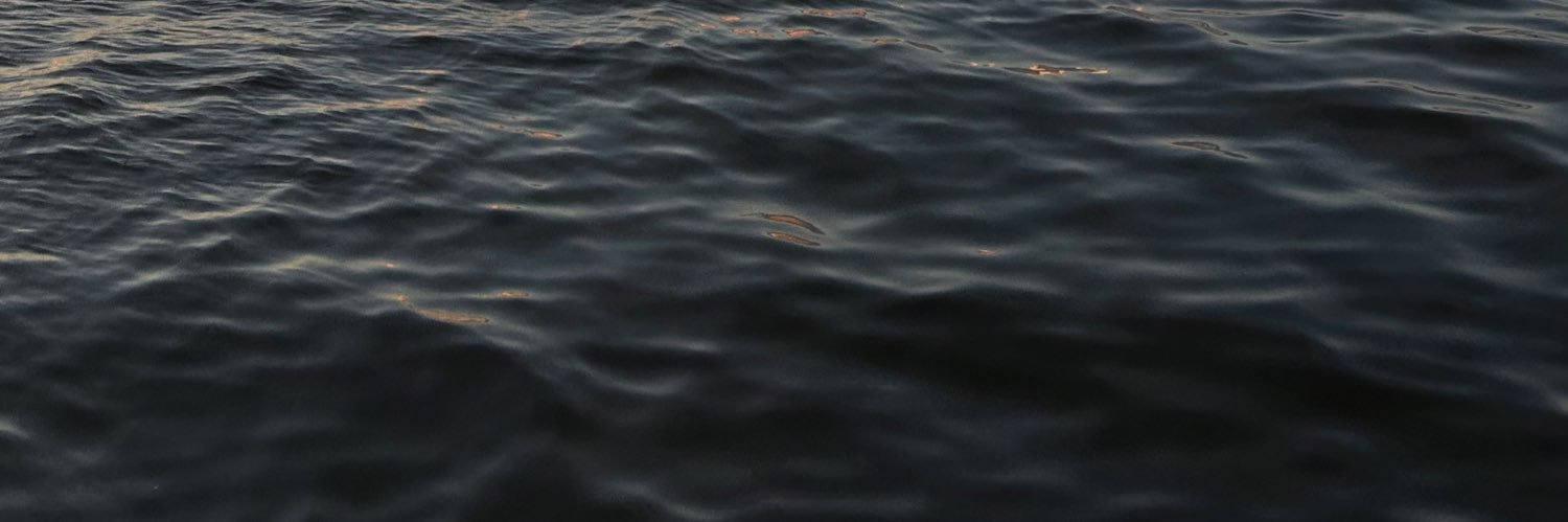 alicerost_'s profile banner image