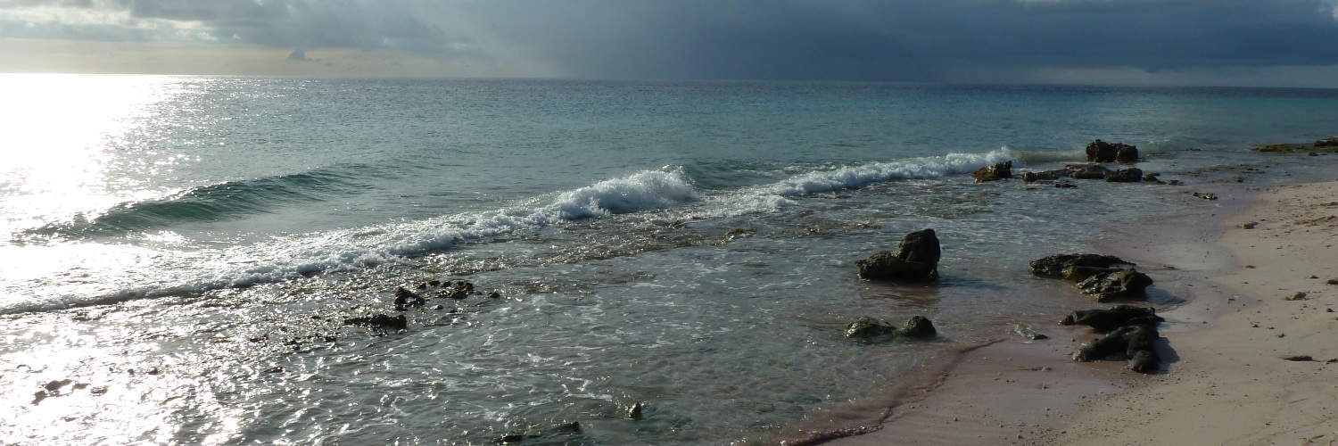 DanDistel's profile banner image