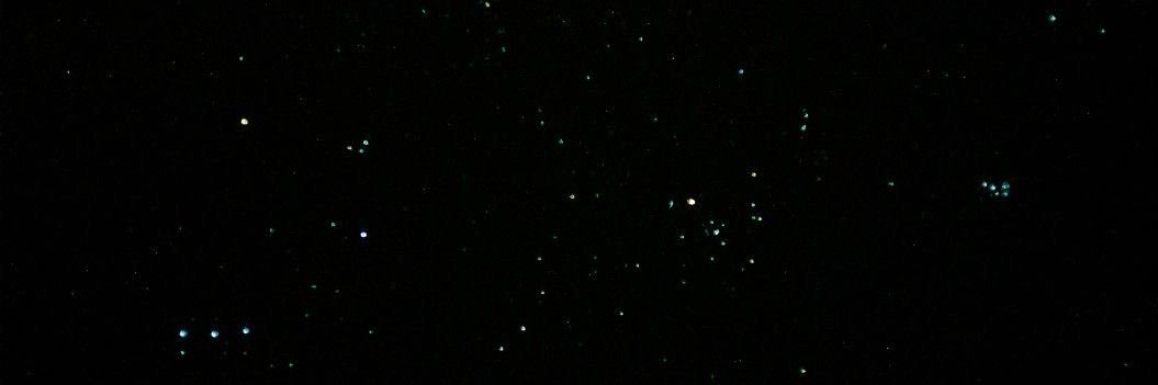 valbaenae's profile banner image