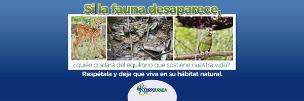 CORPOURABA Profile Banner