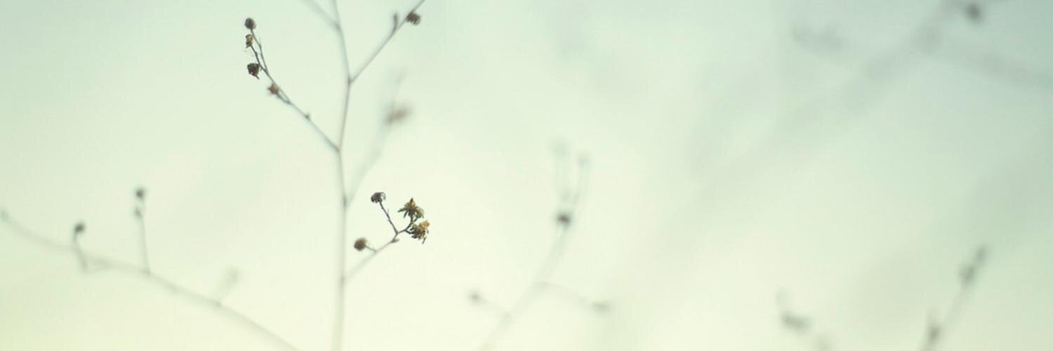 oostcoast's profile banner image