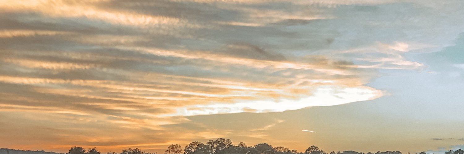MillerWattts's profile banner image