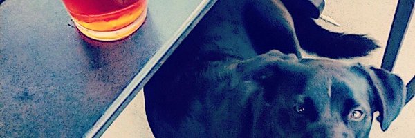 conniemack Profile Banner