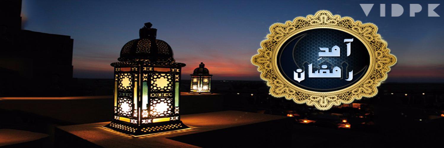 vidpk's profile banner image
