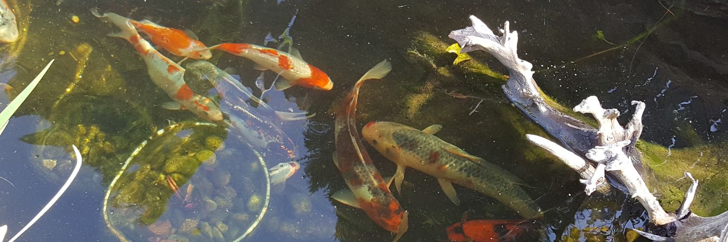 FishFactory_PA's profile banner image